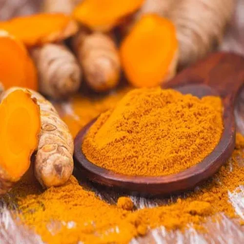 Turmeric Exporter in India